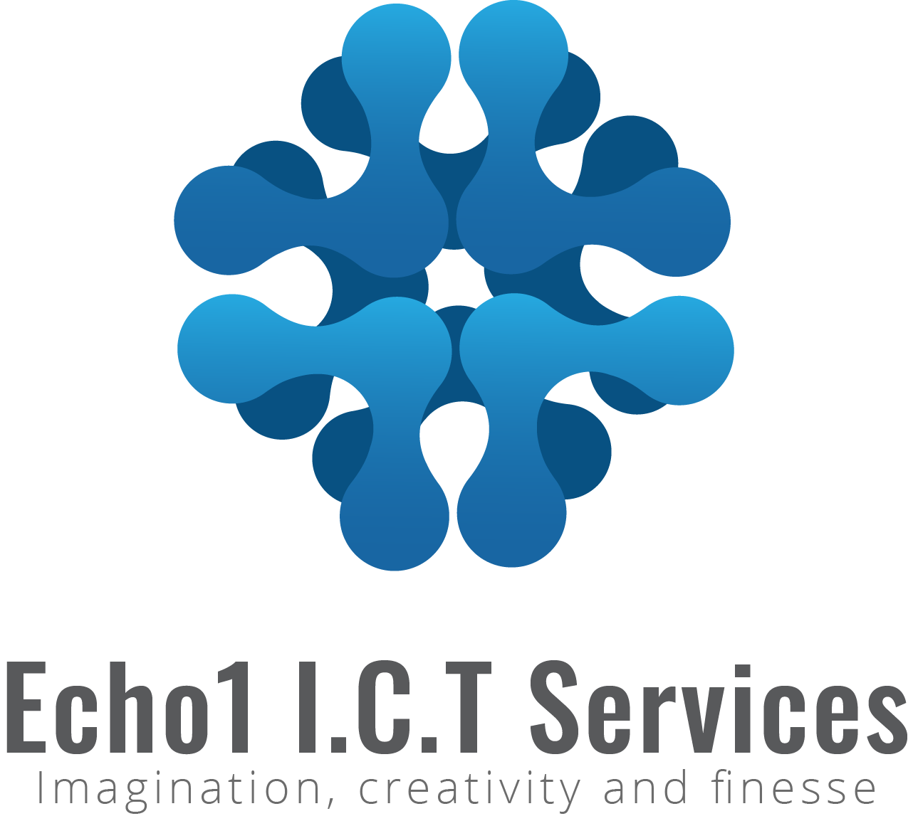 Echo1 I.C.T Services